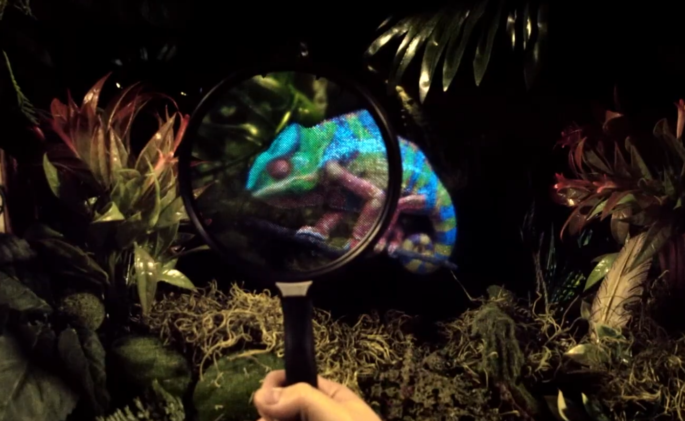Photo of a Light Field Lab holographic chameleon with real plants around and behind it.  The top half of the chameleon is seen through a magnifying glass.